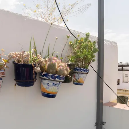 Alohamundi Chicarreros Catedral Appartement Séville